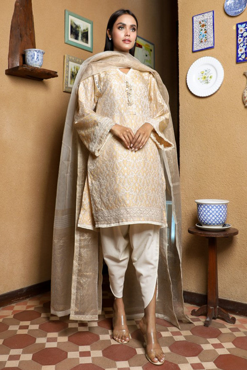 Premium Jamawar Beige Talpuri Waistcoat along with Jamawar Suit and Sh –  Amir Adnan